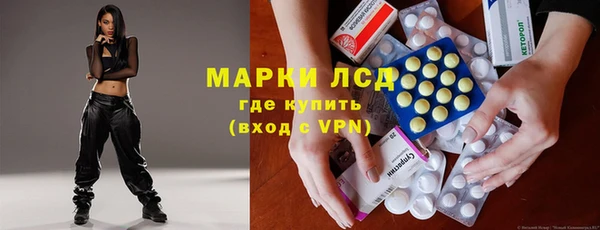 прущие грибы Верхний Тагил
