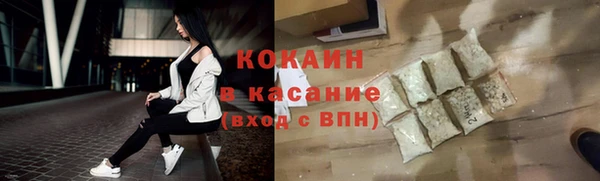 прущие грибы Верхний Тагил