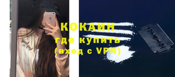 прущие грибы Верхний Тагил