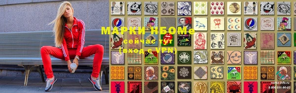 прущие грибы Верхний Тагил