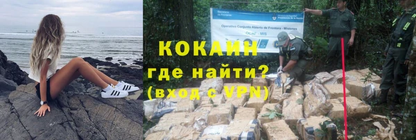 прущие грибы Верхний Тагил