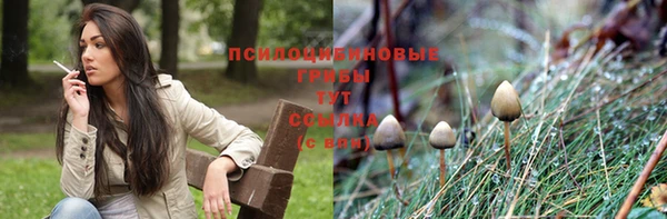 прущие грибы Верхний Тагил