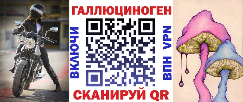 Псилоцибиновые грибы GOLDEN TEACHER  блэк спрут ССЫЛКА  Высоковск 
