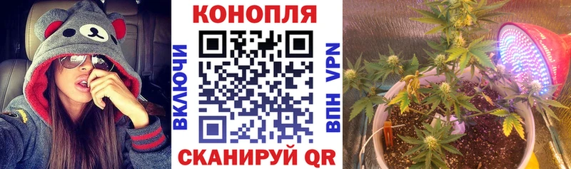 где можно купить ОМГ ОМГ как зайти МАРИХУАНА индика Высоковск